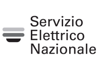 conto corrente servizio elettrico nazionale