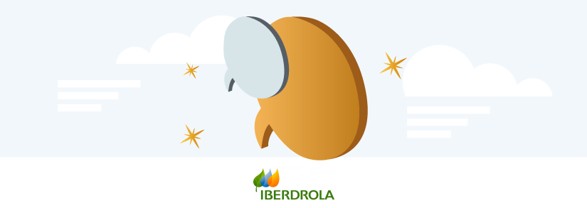 opinioni su Iberdrola Italia