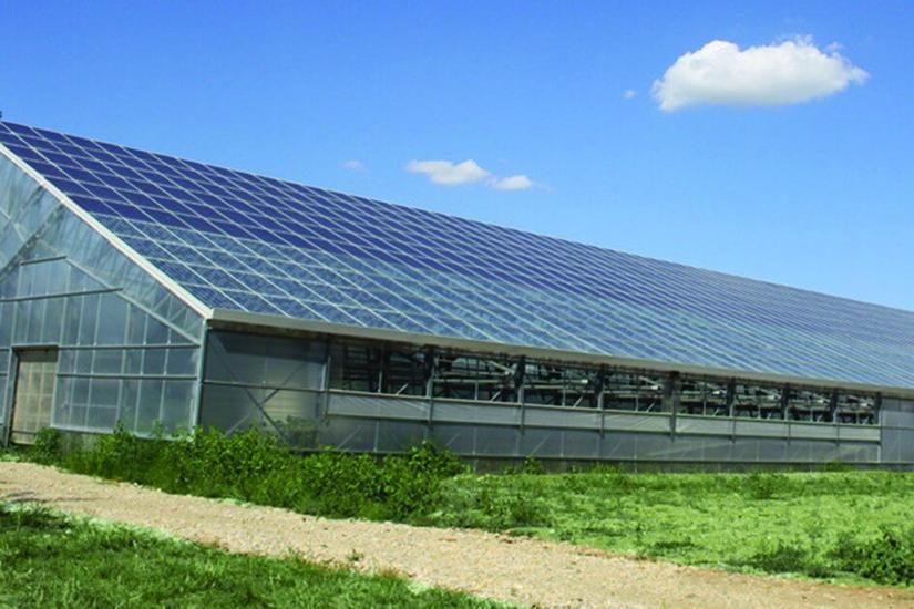 Serra con fotovoltaico