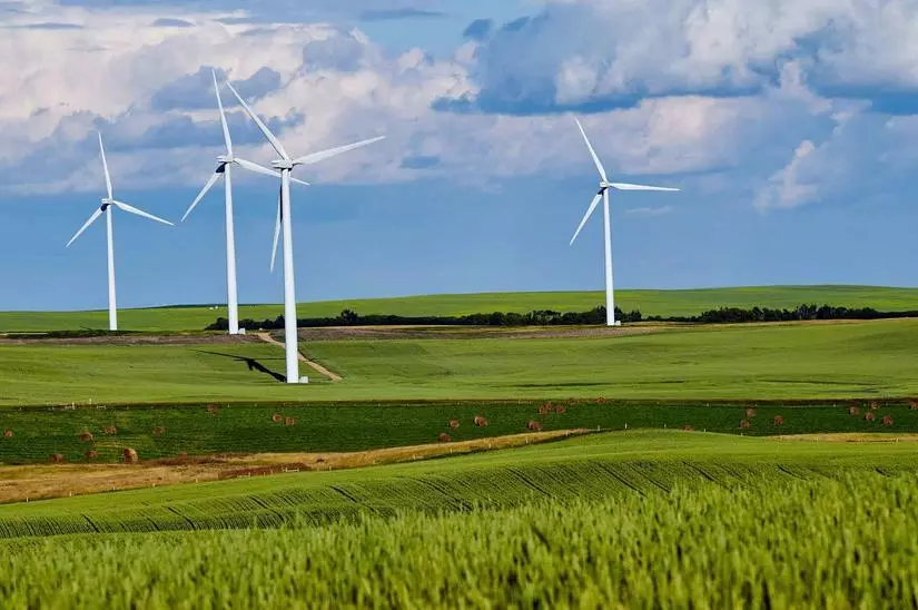 Transizione ecologica: che cos'è e quali sono i vantaggi